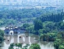 国产麻豆91精品免费观看-的灰色地带，麻豆91与免费观看的背后