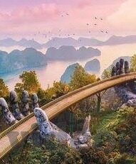 果冻传媒在线观看杜鹃-探索果冻传媒平台上的杜鹃魅力