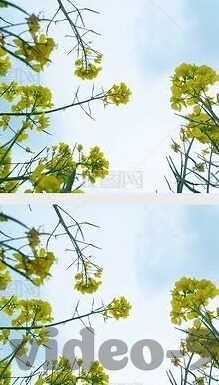 麻豆果冻传媒系列视频-展开魅力与创意的边界，麻豆果冻传媒系列的视觉盛宴