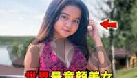 麻豆视频播放-麻豆视频的数字全景，一场视觉盛宴的背后