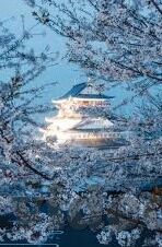 神马影院伦理我不卡-神马影院，伦理边界的微妙探讨