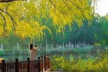 糖心app下载官网苹果-探索苹果设备上糖心App的正确下载方式