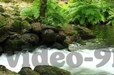 糖心vlog最新版下载-糖心Vlog，探索生活记录的新视角